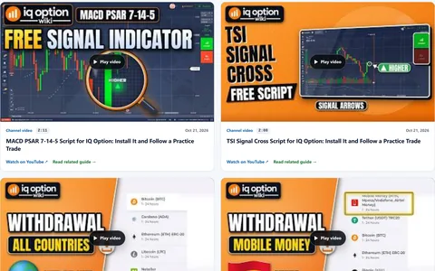 Screenshot of the video library: two lesson videos with their thumbnails
